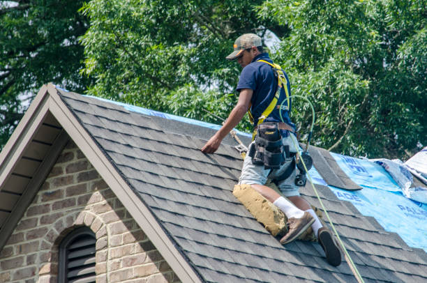 Residential Roof Replacement in Leilani Estates, HI